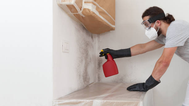 Professional Crawl Space Mold Removal technician working in Arlington, NY