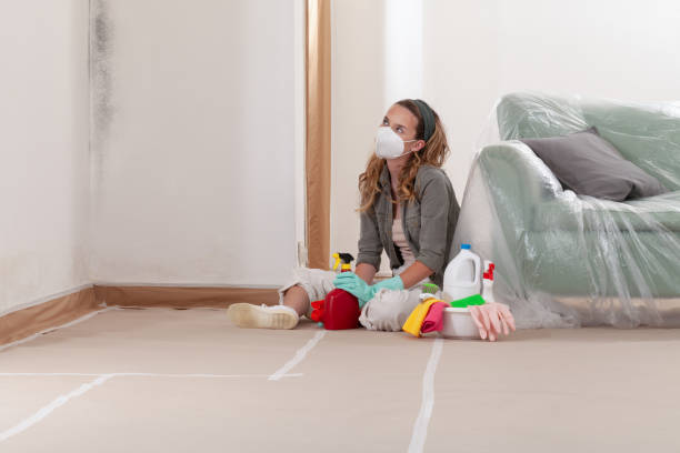 Reliable Crawl Space Mold Removal contractor in Arlington, NY by WQB Mold Removal